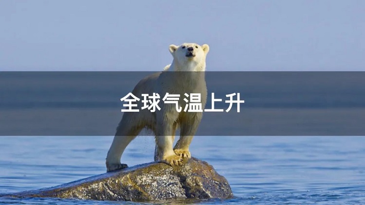 螞蟻商聯(lián)攜手金好來超市發(fā)起“以竹代木，翠我山河”植樹節(jié)活動，從改變生活習(xí)慣開始！喊你為公益接力~